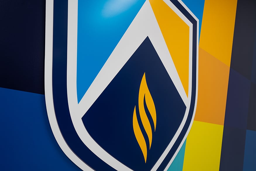 Arizona College of Nursing shield logo on wall zoom