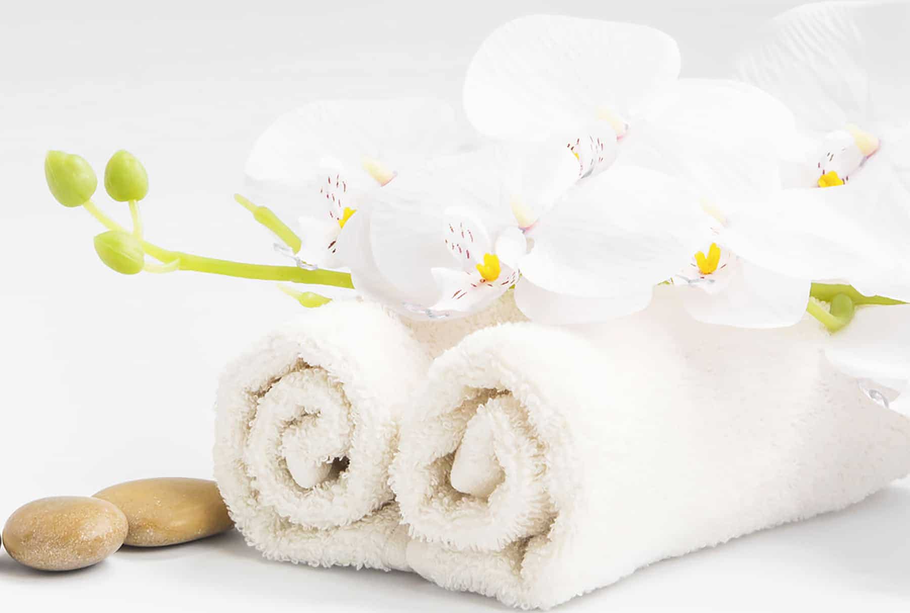 Massage therapy career in Arizona