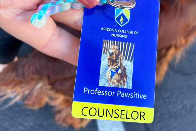 Nursing College Therapy Dog Program