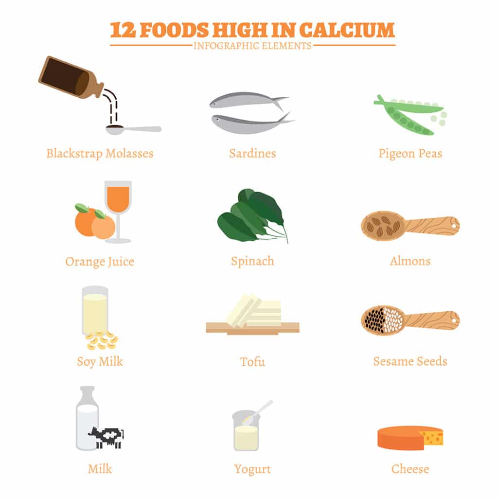 Calcium Rich Foods