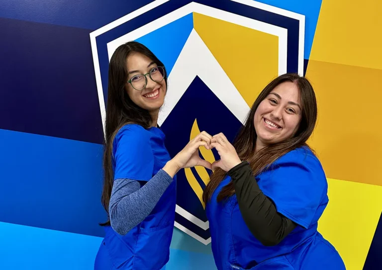 BSN Nursing Degree Nurse Courses